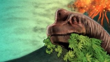 Cheech & Chong's Chronicles: The Graphic Novel