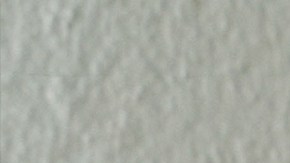 Photo by Sharon López.