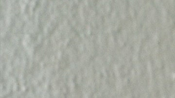 Photo by Sharon López.