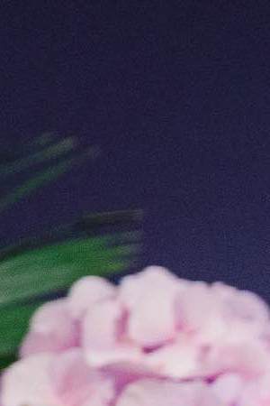 LONDON, ENGLAND - OCTOBER 21: Frida Kahlo’s ultimate self-portrait goes on view at Sotheby's on October 21, 2021 in London, England. Estimated at over $30 million, it is expected to break the record for the artist and for any Latin American artist. This is a unique chance for British audiences to view a self-portrait by Kahlo, with none in UK institutions. The painting is on view to the public at Sotheby's London from the 22 -25 October ahead of being auctioned at Sotheby's New York on 16 November 2021.