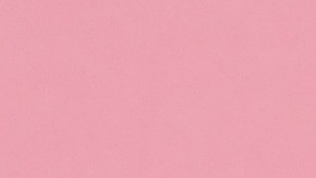 Courtesy of Gaby Trujillo.