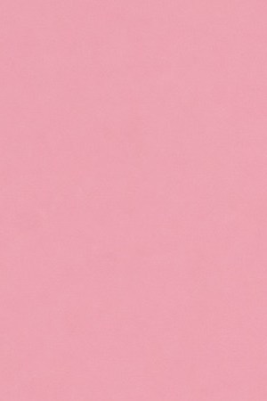 Courtesy of Gaby Trujillo.