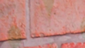 LOS ANGELES, CALIFORNIA - FEBRUARY 20: (L-R) America Ferrera, Marvin Lemus, Linda Yvette Chávez, and Monica Macer attend the premiere of Netflix's "Gentefied" at Plaza de la Raza on February 20, 2020 in Los Angeles, California.