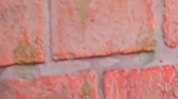 LOS ANGELES, CALIFORNIA - FEBRUARY 20: (L-R) America Ferrera, Marvin Lemus, Linda Yvette Chávez, and Monica Macer attend the premiere of Netflix's "Gentefied" at Plaza de la Raza on February 20, 2020 in Los Angeles, California.