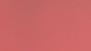 Photo by Matt Winkelmeyer/Getty Images.