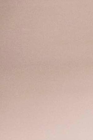 Close up of hippo at water level, sunset