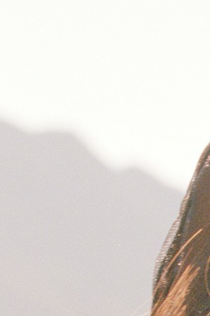 Photo by Amanda Charchain.