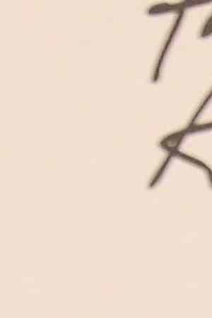 Virgil Abloh. Louis Vuitton's US fashion designer, poses after winning the Urban Luxe Award during the British Fashion Awards 2018 in London on December 10, 2018. - The Fashion Awards are an annual celebration of creativity and innovation will shine a spotlight on exceptional individuals and influential businesses that have made significant contributions to the global fashion industry over the past twelve months. - RESTRICTED TO EDITORIAL USE - NO MARKETING NO ADVERTISING CAMPAIGNS