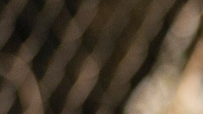 Juan Rosas/Netflix © 2021