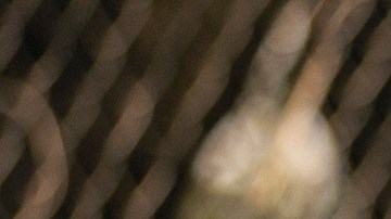 Juan Rosas/Netflix © 2021