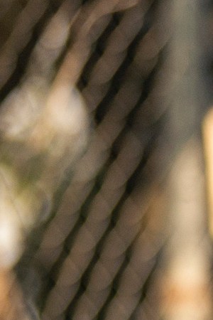 Juan Rosas/Netflix © 2021