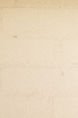 Photo by Gabriel Perez Silva.