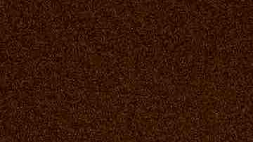 Photo by Scott Dudelson/Getty Images