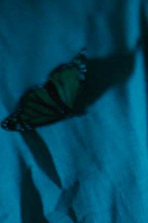 Tenoch Huerta in Son of Monarchs