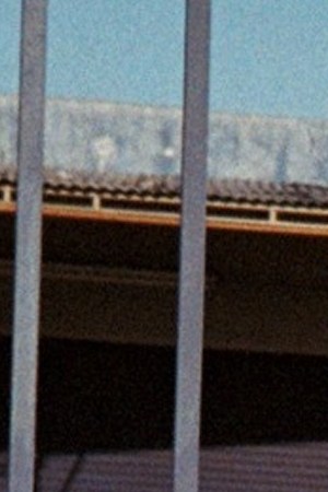 Photo by David Oranday.