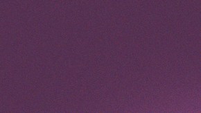 Art by Stephany Torres for Remezclal