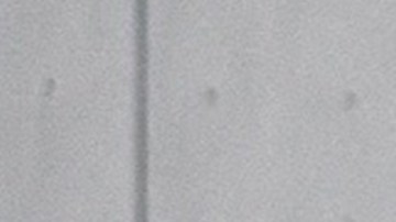 Photo by José Rozon.