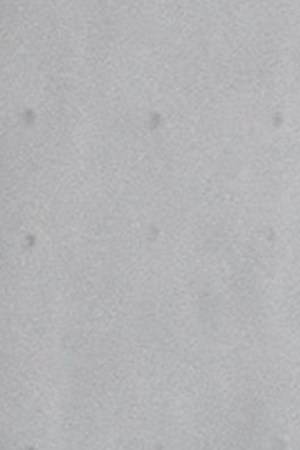 Photo by José Rozon.