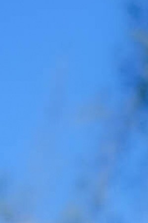 Photo by Félix "Jonu" Ríos.