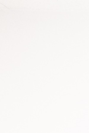 Courtesy of the artist.