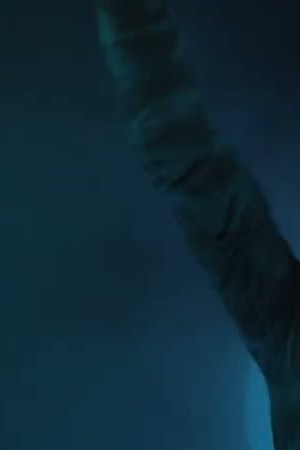 Courtesy of YouTube.