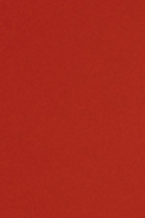 Photo by Paola Velásquez.