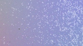 Art by Stephany Torres