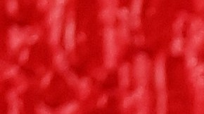 PARIS, FRANCE - OCTOBER 05: Ana de Armas at the Louis Vuitton Cocktail Womenswear Spring/Summer 2022 as part of Paris Fashion Week on October 05, 2021 in Paris, France.