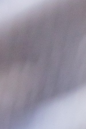 LOS ANGELES, CA - DECEMBER 08: Ariana DeBose is seen at "Jimmy Kimmel Live" on December 08, 2021 in Los Angeles, California.