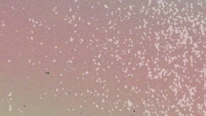 10 Best Fashion Moments of 2021