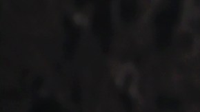 Photo by Rich Polk/Getty Images for Universal Studios Hollywood.