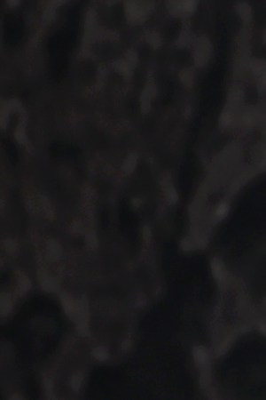 Photo by Rich Polk/Getty Images for Universal Studios Hollywood.