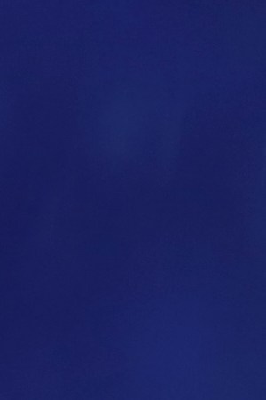 Bad Bunny at Concert