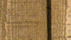 NEW YORK, NY - FEBRUARY 12: Natti Natasha attends the Michael Kors AW/20 Fashion Show at American Stock Exchange on February 12, 2020 in New York City.