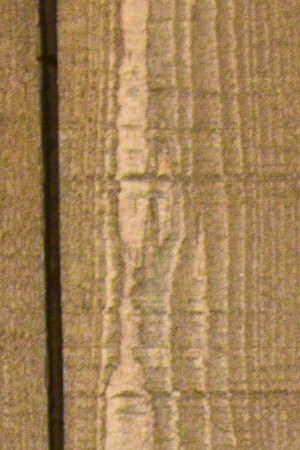 NEW YORK, NY - FEBRUARY 12: Natti Natasha attends the Michael Kors AW/20 Fashion Show at American Stock Exchange on February 12, 2020 in New York City.