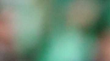 SAINT-ETIENNE, FRANCE - NOVEMBER 28: Neymar Jr of PSG celebrates his goal - a goal ultimately denied by the video assistance VAR - during the Ligue 1 Uber Eats match between AS Saint-Etienne (ASSE) and Paris Saint-Germain (PSG) at Stade Geoffroy-Guichard on November 28, 2021 in Saint-Etienne, France.