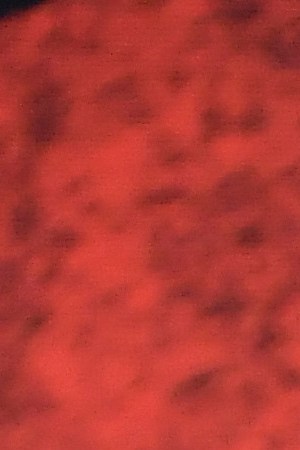 LOS ANGELES, CALIFORNIA - MARCH 09: Perez Hilton attends the Premiere Of Disney's "Mulan" on March 09, 2020 in Los Angeles, California.