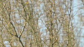 Photo by Carlos Jaramillo