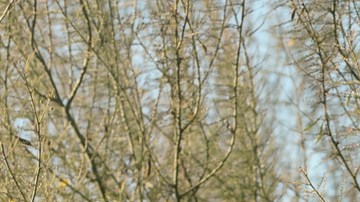 Photo by Carlos Jaramillo