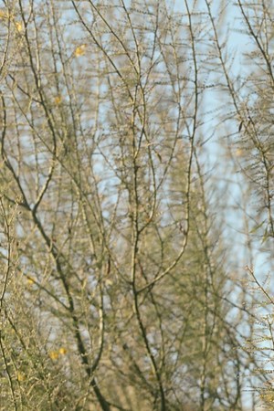 Photo by Carlos Jaramillo