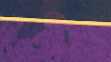 LOS ANGELES, CALIFORNIA - NOVEMBER 23: Actor Wilmer Valderrama attends the opening night fan event for Disney's "Encanto" at El Capitan Theatre on November 23, 2021 in Los Angeles, California.