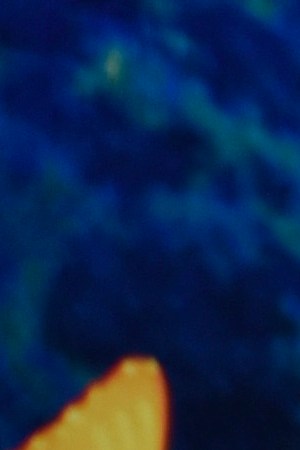 Sebastian Yatra Encanto premiere_Dos Oruguitas