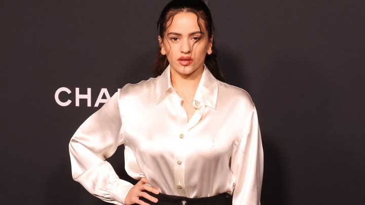 NEW YORK, NEW YORK - DECEMBER 14: Rosalia attends the 2021 MoMA Film Benefit presented by Chanel at The Museum of Modern Art on December 14, 2021 in New York City. (Photo by Taylor Hill/WireImage)