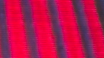 MEXICO CITY, MEXICO - AUGUST 13:  Calibre 50 performs during a Cri-Cri el Grillito Cantor 80th Anniversary Homage Concert organized by Ke Buena radio at Zocalo on August 13, 2015 in Mexico City, Mexico. (Photo by Luis Ortiz/Clasos/LatinContent via Getty Images)