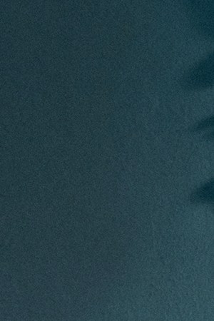 Courtesy of the artist.