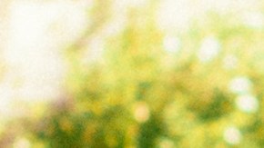 Photo by Erick Fernando Quezada.