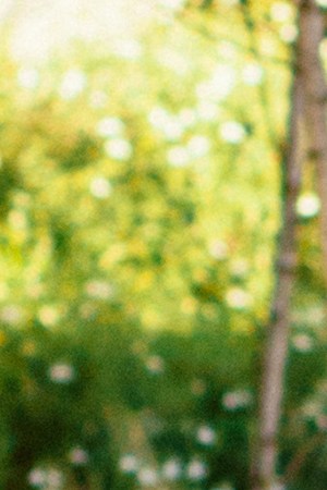 Photo by Erick Fernando Quezada.