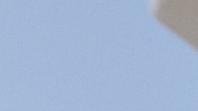 Photo by Carlos Jaramillo