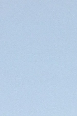 Photo by Carlos Jaramillo