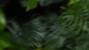 LONDON, ENGLAND - NOVEMBER 29: Anthony Ramos attends The Fashion Awards 2021 at the Royal Albert Hall on November 29, 2021 in London, England. (Photo by Karwai Tang/WireImage)